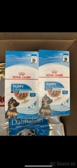 Kapsicky Royal Canin