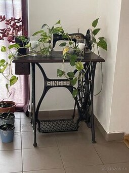 Singer