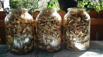 Predám susené dubáky