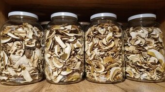 Sušené hríby/huby - 1