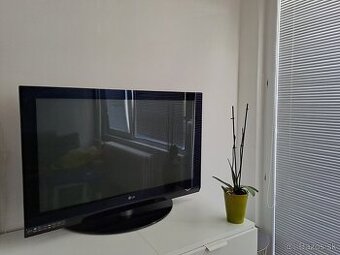 Oyvacia otava + koberec + TV