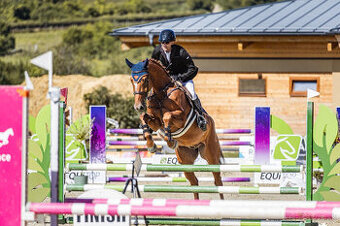 AMATÉRSKY VALACH po ARISTO Z - NOVÁ CENA