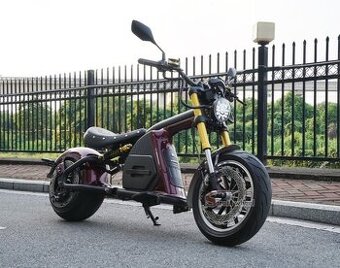Elektro Eco chopper