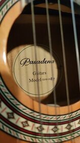 Gitara Pasadena CG161-3/4