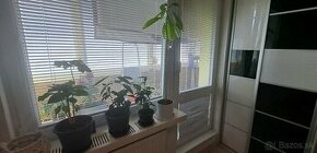 Slnečný jednoizbový byt s balkónom