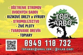 Ošetrenie stromov a rizikové orezy a výruby (arboristika)