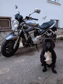 Suzuki GSF 650A, rok 2009, do 32000km