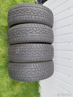 235/55 R18 zimne pneu Dunlop 2023