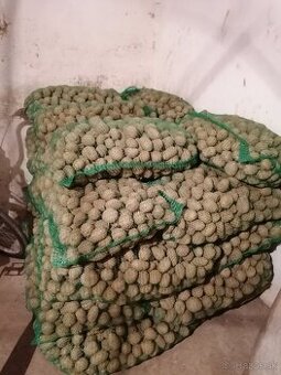 Predám sadbove zemiaky