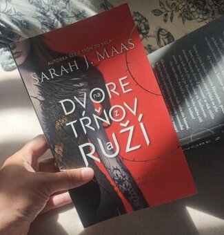 Na dvore z tŕňov a ruží - 1