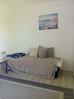 Rent room near veterinary university /Izba / Podhradova