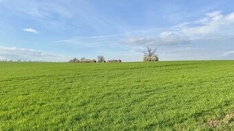 Hatalov – Spoluvlastnícke podiely na ornej pôde