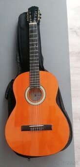 Gitara s puzdrom