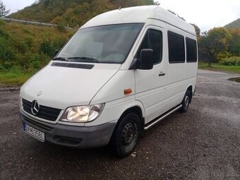 Sprinter 208CDI minibus