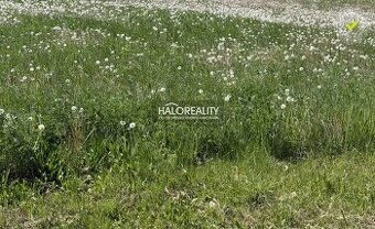 HALO reality - Predaj, pozemok pre rodinný dom 800 m2 Andovc