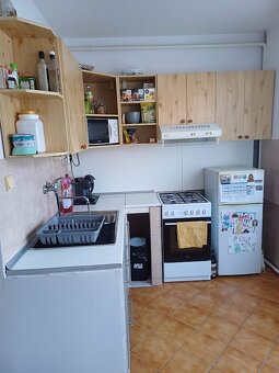 Prenajmem 1 izbový byt - Suchá nad Parnou