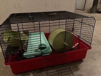 Kliedka ( morské prasiatko , škrečkov ..atď )