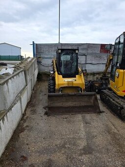 Caterpillar 246