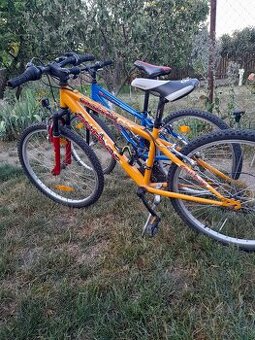 Author 24ka bicykle