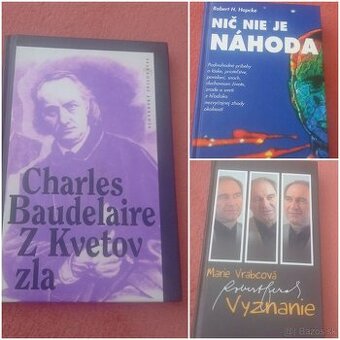 Z kvetov zla - Ch.Baudelaire, Bezák,  Nič nie je náhoda