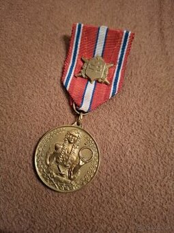 Medaila Za vernosť a brannosť 1918-1938