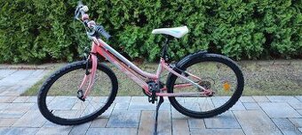 Horský bicykel
