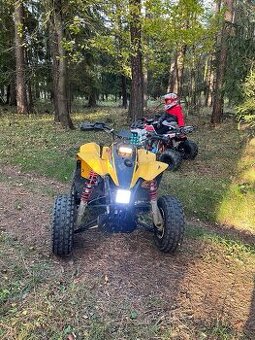 Polaris Trail Blazer 250