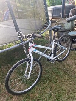 Horský bicykel DEMA ECCO 24"