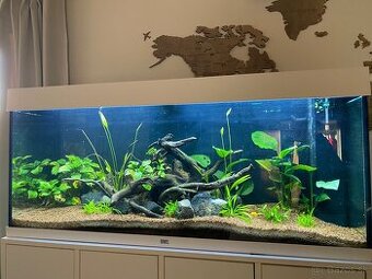 Juwel akvárium set Rio LED 240 biele 121 x 41 x 55 cm 240 l