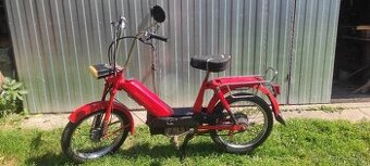 Babetta 207
