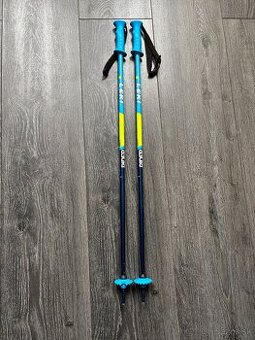 Lyžiarske palice leki