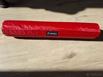 Ochrana vzpieracskej tyce