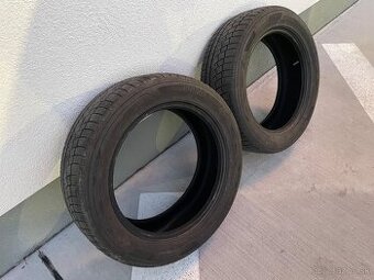 215/55 R17 zimne