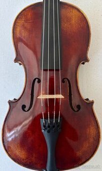 Viola