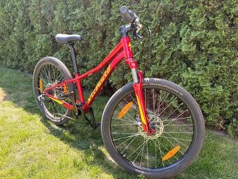 SPECIALIZED Riprock 24