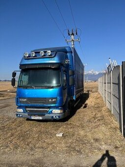 DAF