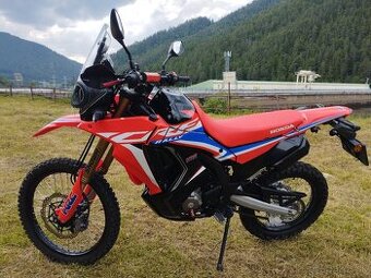 Honda CRF 300 rally 2024