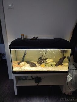 PREDÁM 120L AKVÁRIUM