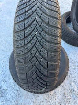 195/65R15 Semperit