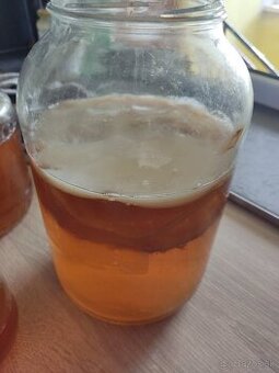 Scoby