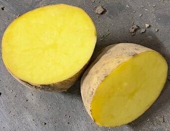 Predám zemiaky odrody Soraya