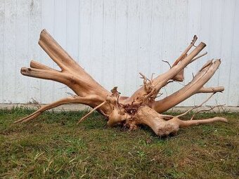 predam mohutny koren / samorast do akvaria