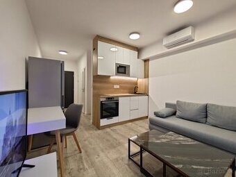 Prenájom 1.izbového bytu BD Orion