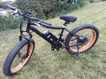 E bike