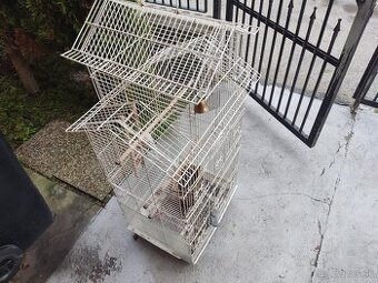 Predám klientku pre menšieho papagája