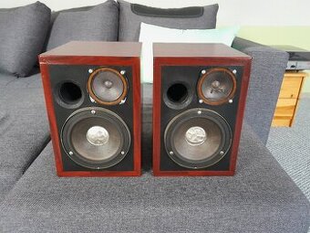 Regálové Tesla-Pioneer mix reproduktory