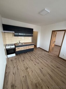 Prenájom 1 izbového bytu