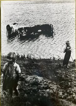 Irena Blühová - Najmladší pastier kráv