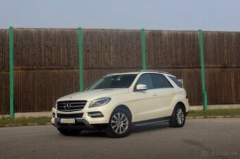 Mercedes-Benz ML Mercedes Benz 350 bluetech
