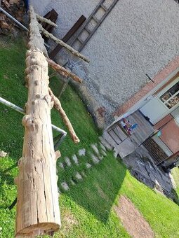 Gulatina z hrčami drevo